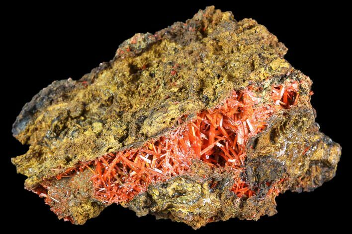 Bright Orange Crocoite Crystal Cluster - Tasmania #103807
